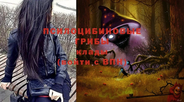 ешки Лабытнанги