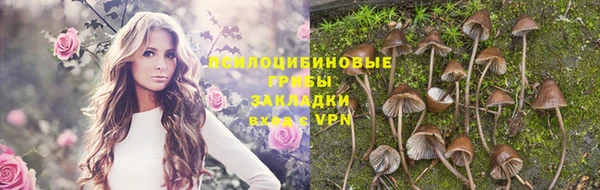 гашиш Магас